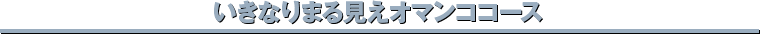 いきなりまる見えオマンココース