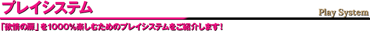 プレイシステム